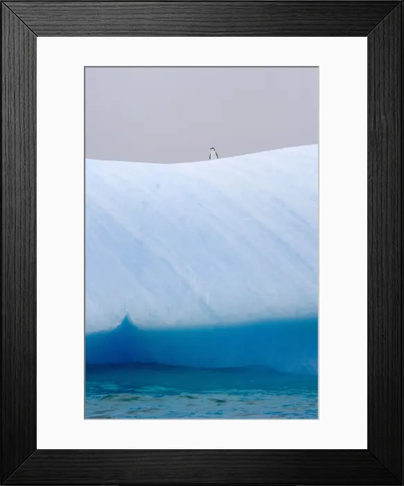 Framed Print : DDE-90023293 Framed Print : DDE-90023293