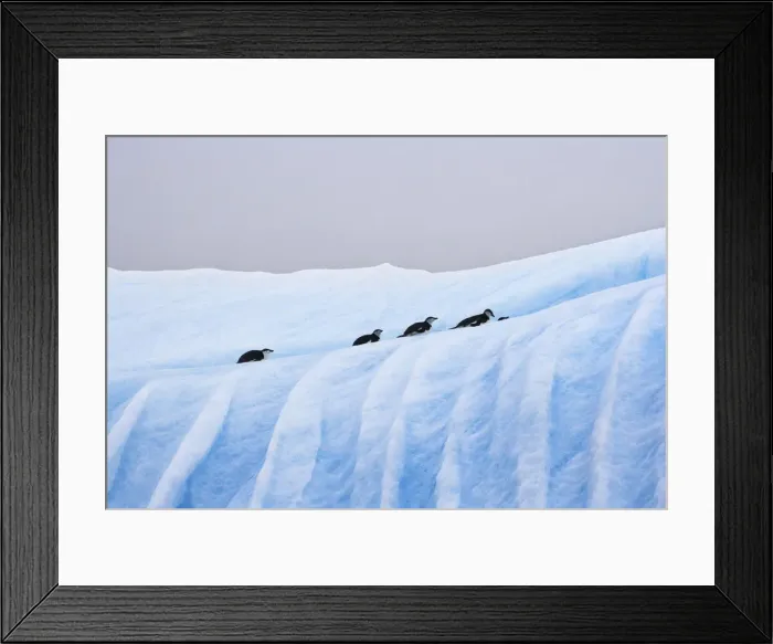 Framed Print : DDE-90023294 Framed Print : DDE-90023294