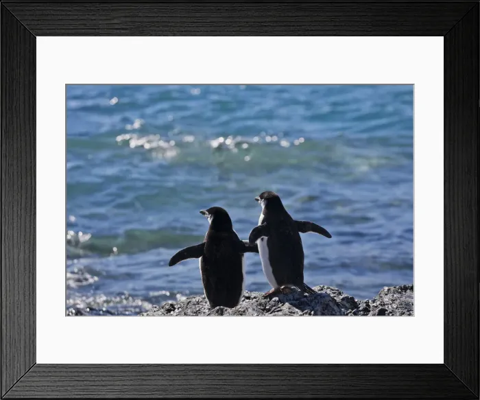 Framed Print : DDE-90023297 Framed Print : DDE-90023297