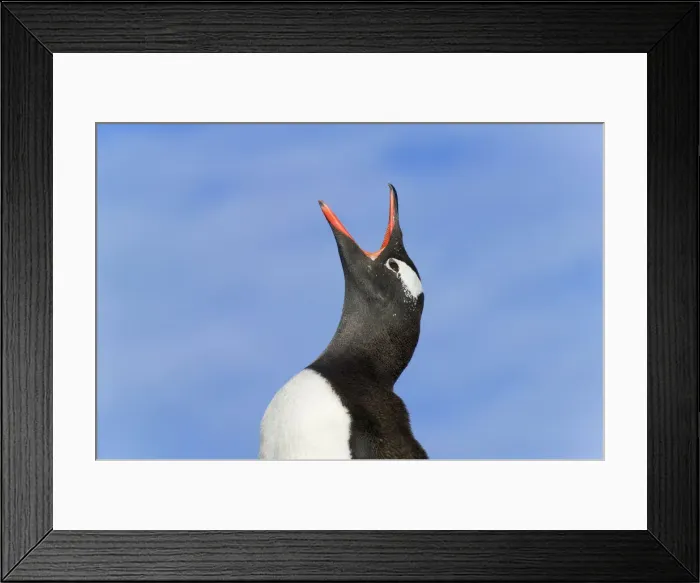 Framed Print : DDE-90023314