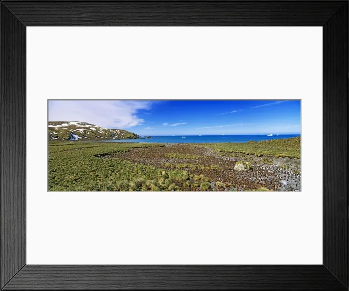 Framed Print : DDE-90023324