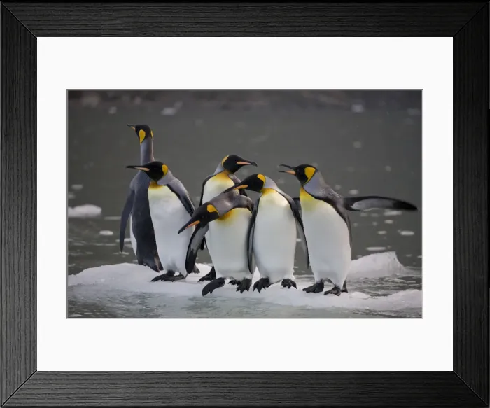 Framed Print : DDE-90023374