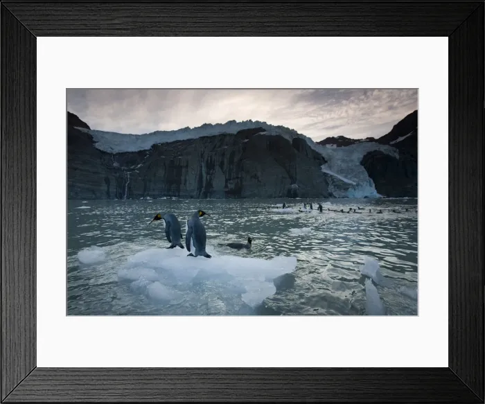 Framed Print : DDE-90023375