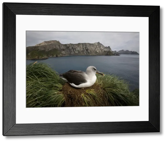 Framed Print : DDE-90023395 Framed Print : DDE-90023395