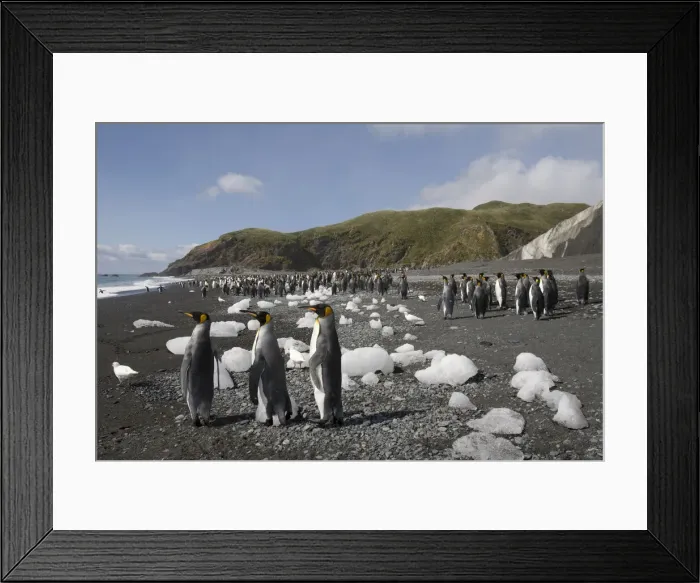 Framed Print : DDE-90023400