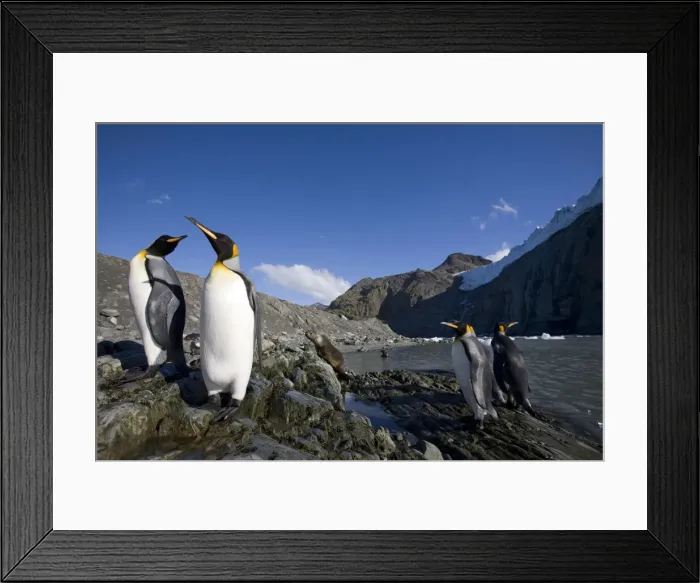 Framed Print : DDE-90023422 Framed Print : DDE-90023422