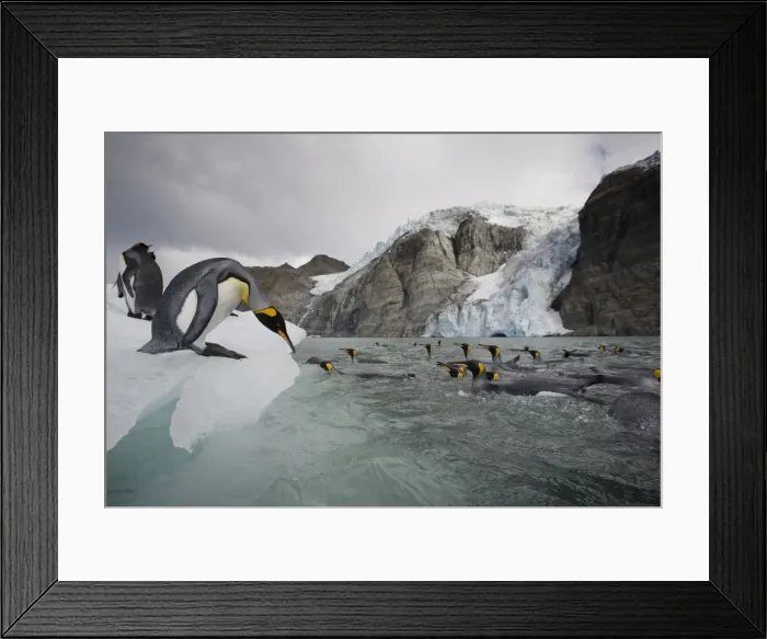 Framed Print : DDE-90023423 Framed Print : DDE-90023423