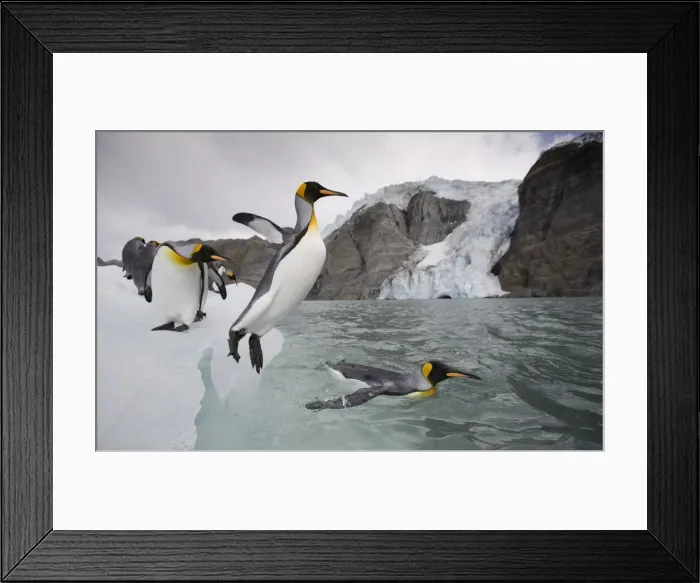 Framed Print : DDE-90023424 Framed Print : DDE-90023424