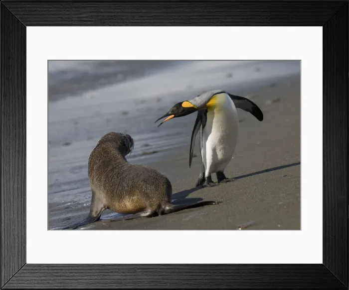 Framed Print : DDE-90023419