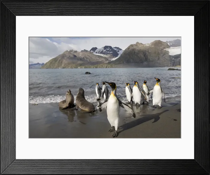 Framed Print : DDE-90023427