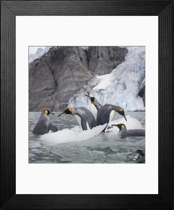 Framed Print : DDE-90023428 Framed Print : DDE-90023428