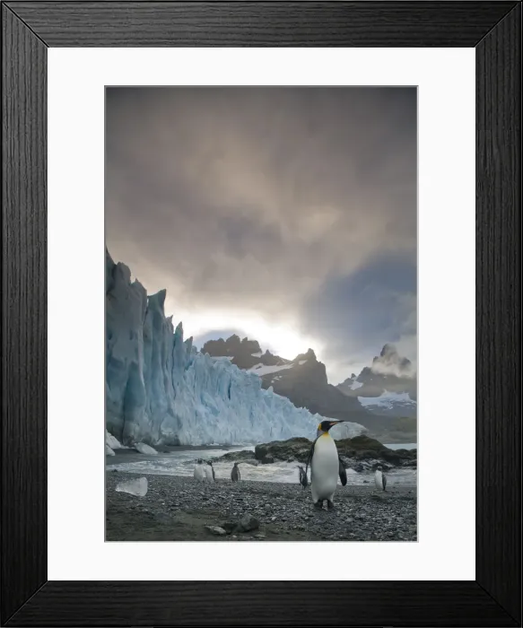 Framed Print : DDE-90023432 Framed Print : DDE-90023432