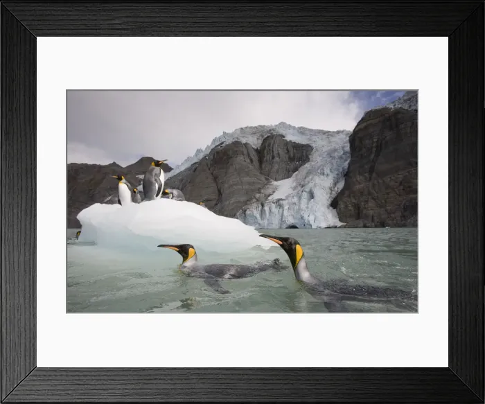 Framed Print : DDE-90023425 Framed Print : DDE-90023425