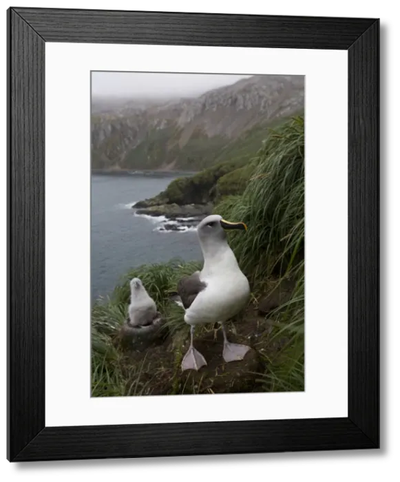 Framed Print : DDE-90023437 Framed Print : DDE-90023437