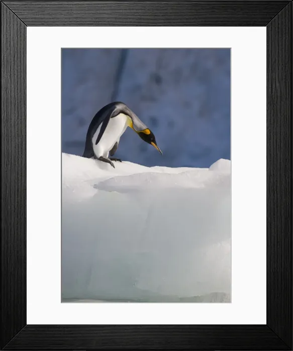 Framed Print : DDE-90023450 Framed Print : DDE-90023450