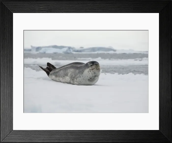 Framed Print : DDE-90023468