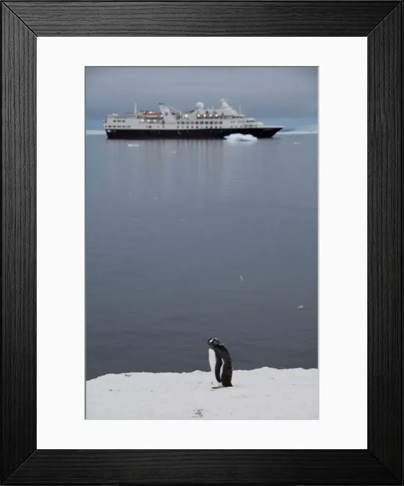 Framed Print : DDE-90023474 Framed Print : DDE-90023474