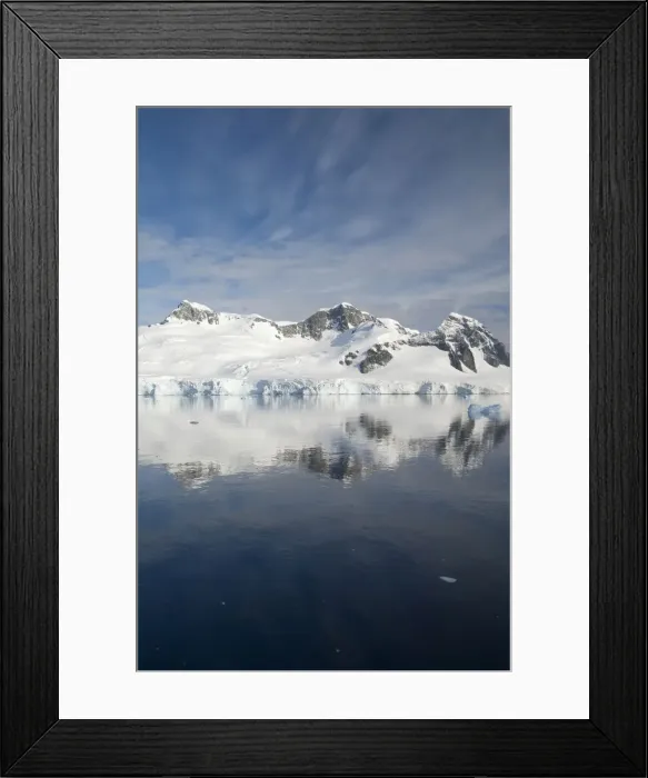 Framed Print : DDE-90023481