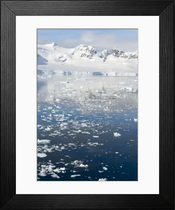 Framed Print : DDE-90023484