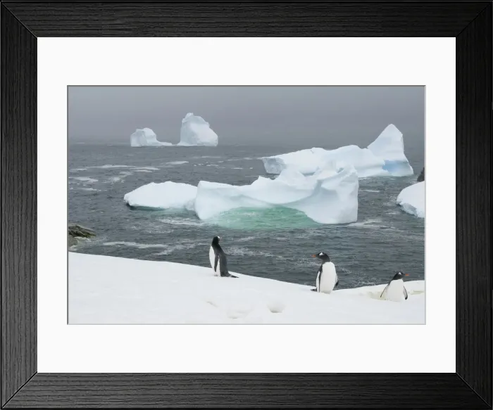 Framed Print : DDE-90023489 Framed Print : DDE-90023489