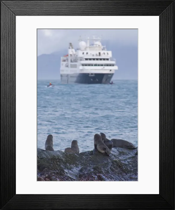 Framed Print : DDE-90023518 Framed Print : DDE-90023518