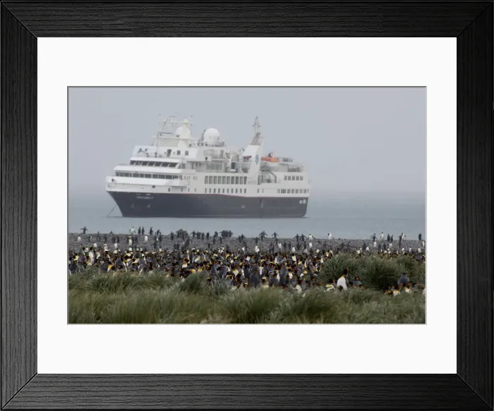 Framed Print : DDE-90023520 Framed Print : DDE-90023520