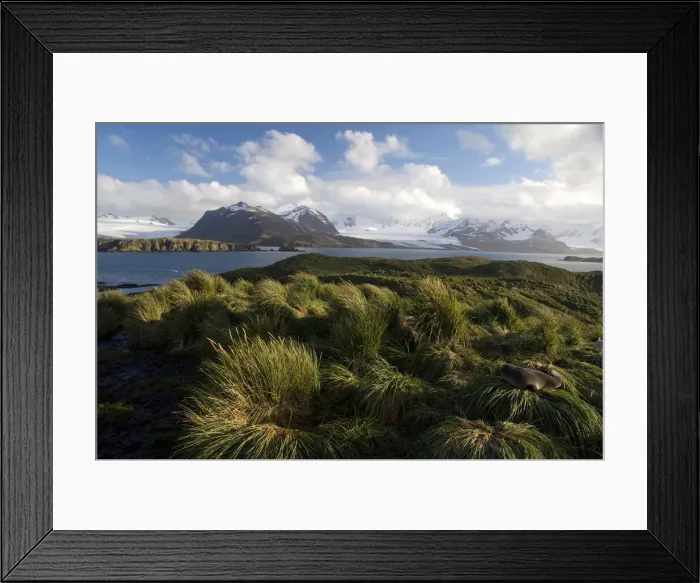 Framed Print : DDE-90023525 Framed Print : DDE-90023525