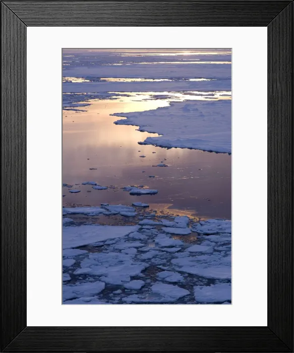 Framed Print : DDE-90023531 Framed Print : DDE-90023531