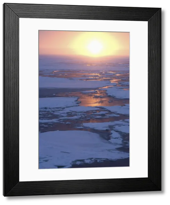 Framed Print : DDE-90023539 Framed Print : DDE-90023539
