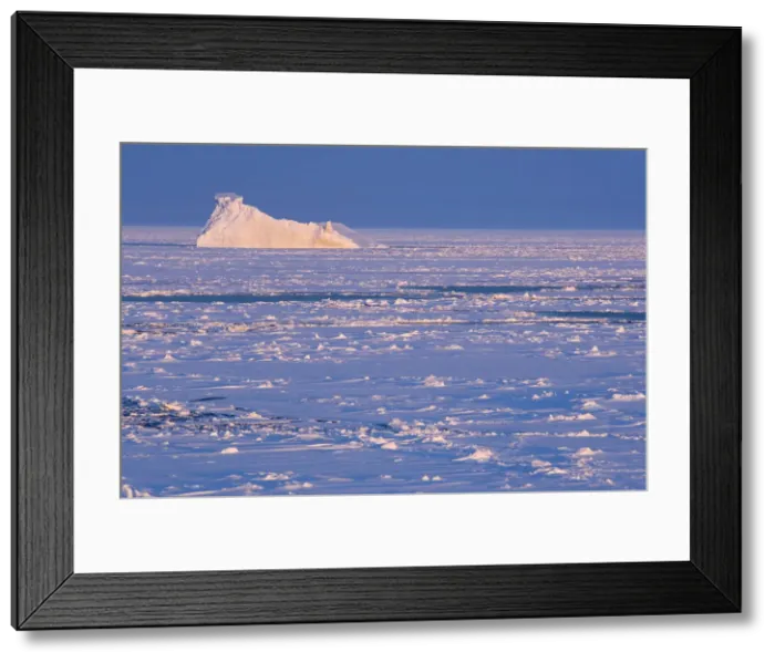 Framed Print : DDE-90023543 Framed Print : DDE-90023543