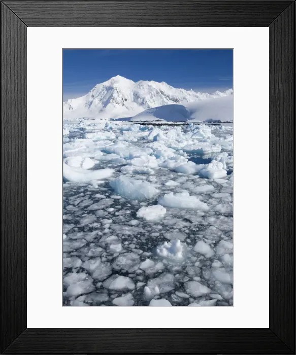 Framed Print : DDE-90023568 Framed Print : DDE-90023568
