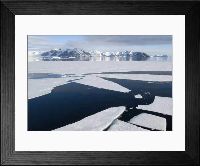 Framed Print : DDE-90023569 Framed Print : DDE-90023569