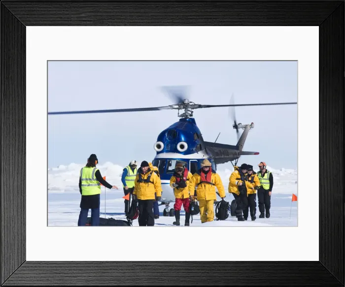 Framed Print : DDE-90023574 Framed Print : DDE-90023574