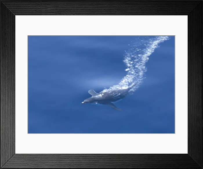 Framed Print : DDE-90023590 Framed Print : DDE-90023590