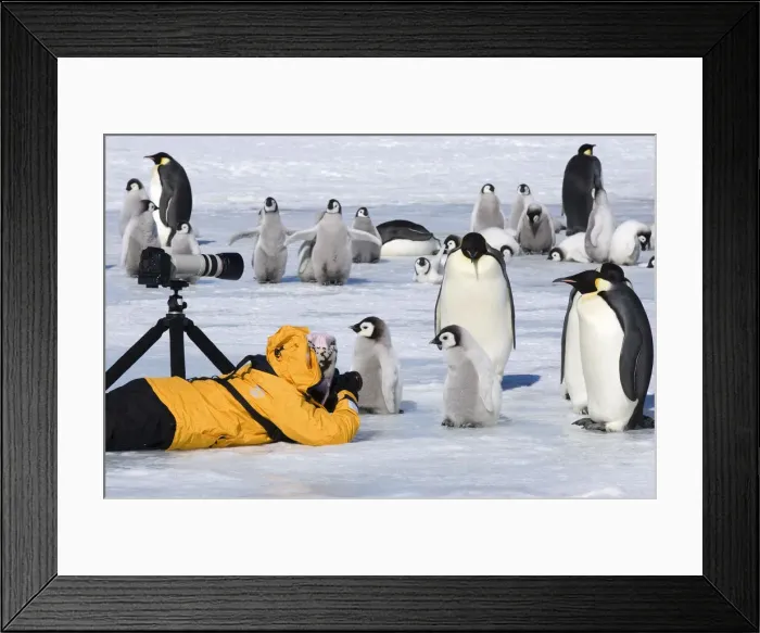 Framed Print : DDE-90023587 Framed Print : DDE-90023587