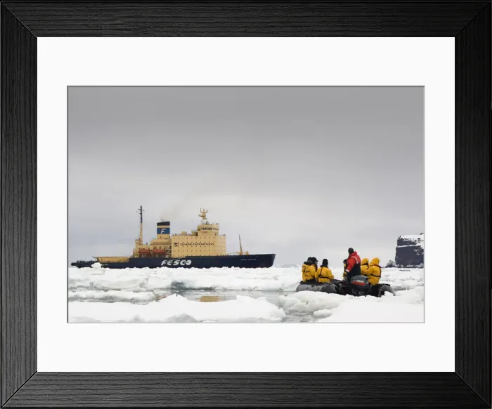 Framed Print : DDE-90023594 Framed Print : DDE-90023594