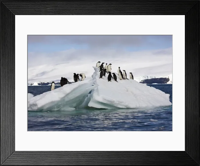 Framed Print : DDE-90023605 Framed Print : DDE-90023605