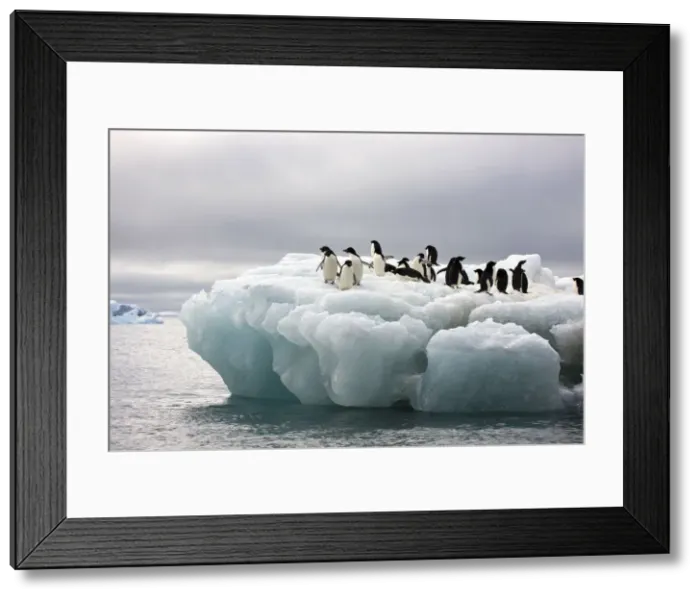 Framed Print : DDE-90023603 Framed Print : DDE-90023603