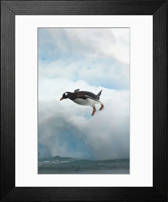 Framed Print : DDE-90023612 Framed Print : DDE-90023612