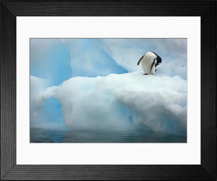 Framed Print : DDE-90023611