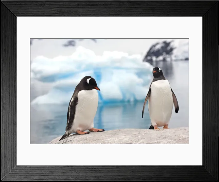 Framed Print : DDE-90023614 Framed Print : DDE-90023614
