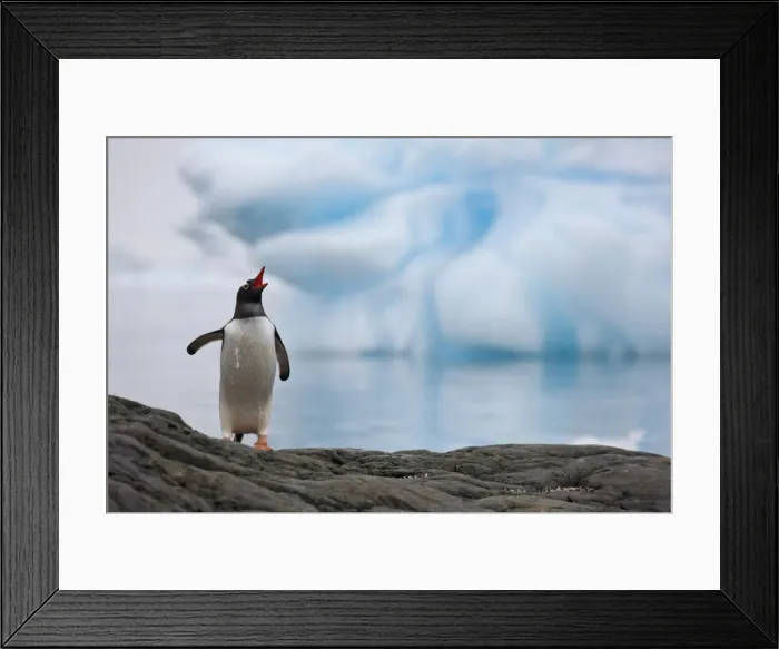 Framed Print : DDE-90023615 Framed Print : DDE-90023615