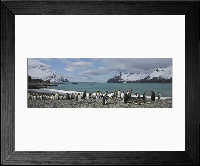Framed Print : DDE-90023628 Framed Print : DDE-90023628