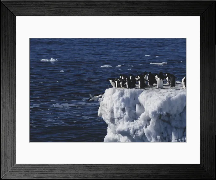 Framed Print : DDE-90023686 Framed Print : DDE-90023686