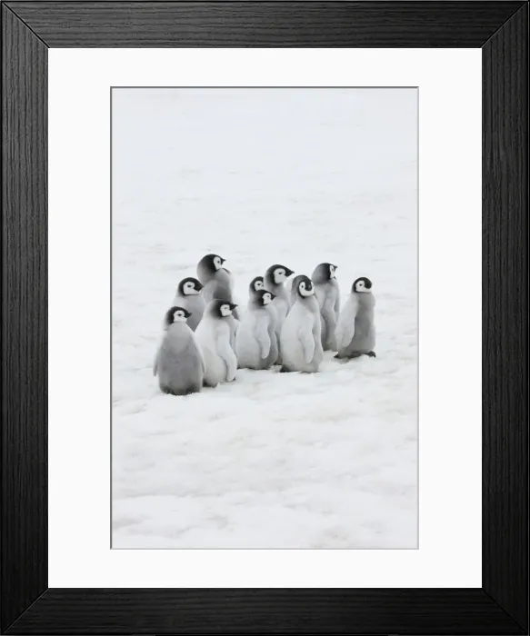Framed Print : DDE-90023711