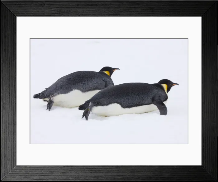 Framed Print : DDE-90023719 Framed Print : DDE-90023719