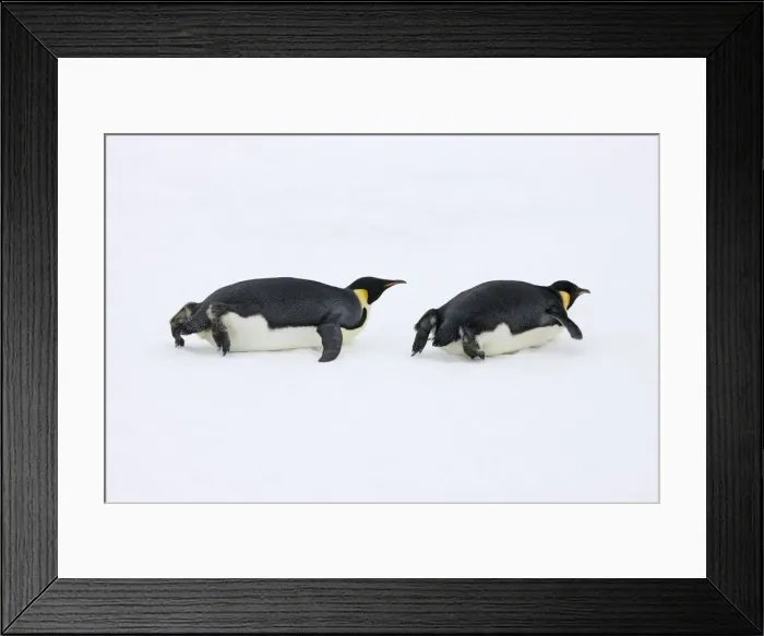 Framed Print : DDE-90023720 Framed Print : DDE-90023720