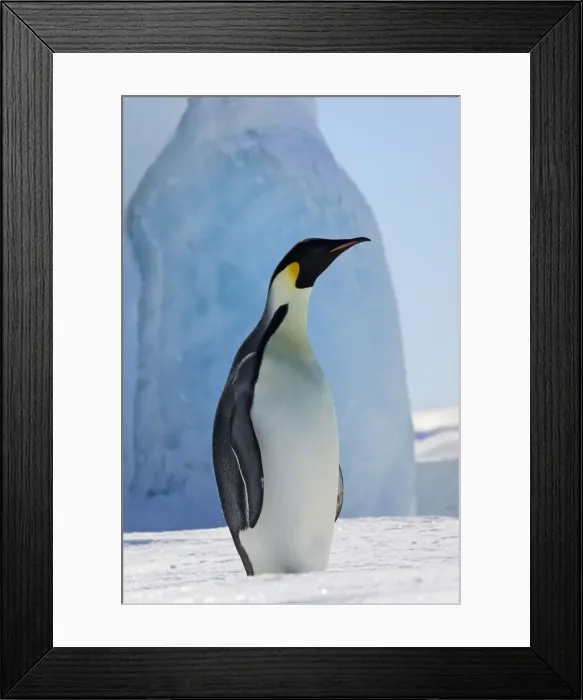 Framed Print : DDE-90023725