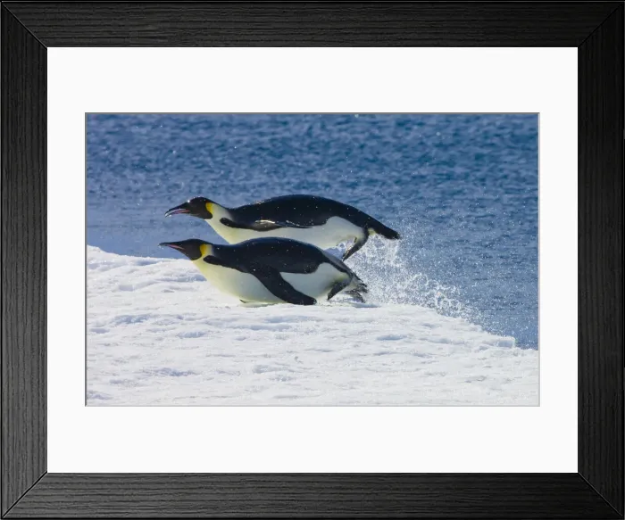 Framed Print : DDE-90023740 Framed Print : DDE-90023740