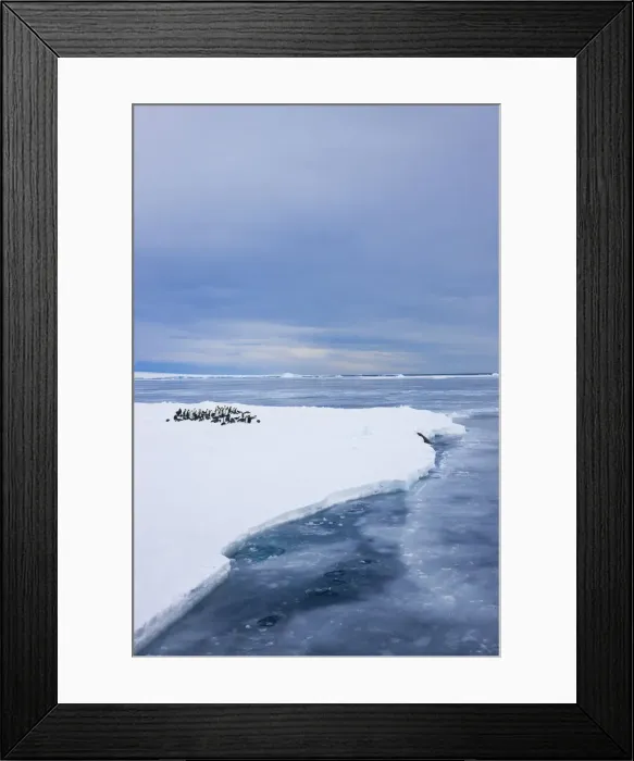 Framed Print : DDE-90023742 Framed Print : DDE-90023742